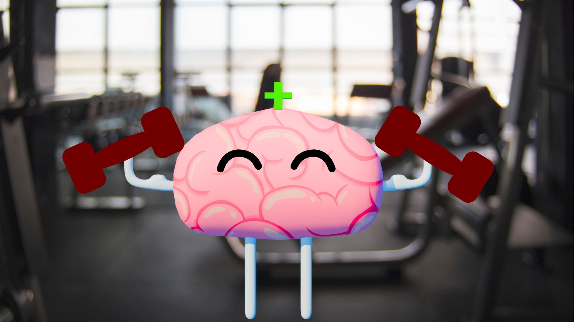 Estilo de vida saludable